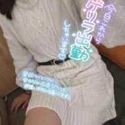 ヒメ日記 2025/01/23 13:52 投稿 くれは ダイスキ