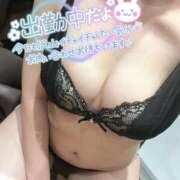 ヒメ日記 2025/01/24 10:12 投稿 くれは ダイスキ