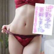 ヒメ日記 2025/02/09 17:45 投稿 くれは ダイスキ