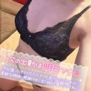 ヒメ日記 2025/03/17 23:48 投稿 くれは ダイスキ