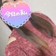 ヒメ日記 2025/04/01 18:20 投稿 くれは ダイスキ