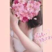 ヒメ日記 2026/03/12 09:14 投稿 さきな 即アポ奥さん ～津・松阪店～