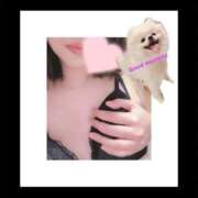 ヒメ日記 2026/04/08 09:04 投稿 さきな 即アポ奥さん ～津・松阪店～