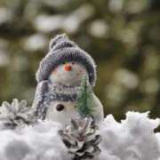 ヒメ日記 2024/12/24 09:32 投稿 まきな 即アポ奥さん ～津・松阪店～