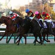 ヒメ日記 2024/12/24 16:23 投稿 まきな 即アポ奥さん ～津・松阪店～