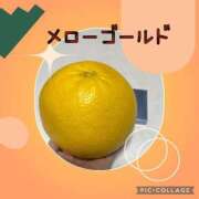 ヒメ日記 2025/03/16 10:14 投稿 まきな 即アポ奥さん ～津・松阪店～