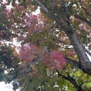 まきな 暑い(-｡-; 即アポ奥さん ～津・松阪店～