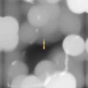 ヒメ日記 2025/04/19 12:18 投稿 ちあき 北九州人妻倶楽部（三十路、四十路、五十路）