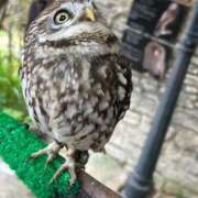 ヒメ日記 2025/05/25 21:51 投稿 ちあき 北九州人妻倶楽部（三十路、四十路、五十路）