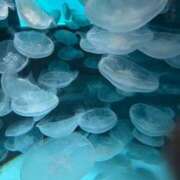 ヒメ日記 2025/09/15 12:28 投稿 ちあき 北九州人妻倶楽部（三十路、四十路、五十路）