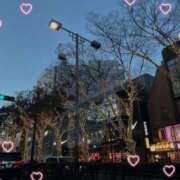 ヒメ日記 2024/12/15 17:02 投稿 椿（ツバキ） アバンチュール(五反田)