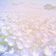 ヒメ日記 2025/06/08 15:16 投稿 椿（ツバキ） アバンチュール(五反田)