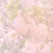 ヒメ日記 2025/06/14 15:01 投稿 椿（ツバキ） アバンチュール(五反田)