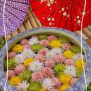 ヒメ日記 2025/06/18 13:31 投稿 椿（ツバキ） アバンチュール(五反田)