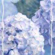 ヒメ日記 2025/06/22 11:16 投稿 椿（ツバキ） アバンチュール(五反田)