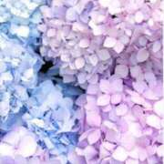 ヒメ日記 2025/06/23 14:01 投稿 椿（ツバキ） アバンチュール(五反田)