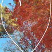 ヒメ日記 2025/11/07 23:31 投稿 椿（ツバキ） アバンチュール(五反田)