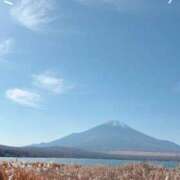 ヒメ日記 2025/11/16 12:16 投稿 椿（ツバキ） アバンチュール(五反田)