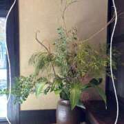 ヒメ日記 2025/11/27 14:01 投稿 椿（ツバキ） アバンチュール(五反田)