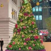 椿（ツバキ） 本日も?? アバンチュール(五反田)