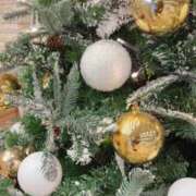 ヒメ日記 2025/12/18 12:46 投稿 椿（ツバキ） アバンチュール(五反田)