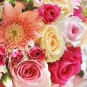 ヒメ日記 2026/01/10 18:31 投稿 椿（ツバキ） アバンチュール(五反田)