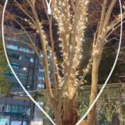 ヒメ日記 2026/01/31 21:16 投稿 椿（ツバキ） アバンチュール(五反田)