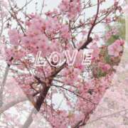 ヒメ日記 2026/03/01 09:31 投稿 椿（ツバキ） アバンチュール(五反田)