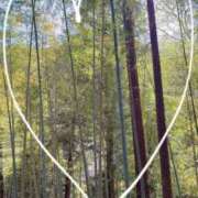 ヒメ日記 2026/03/07 10:16 投稿 椿（ツバキ） アバンチュール(五反田)