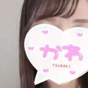 ヒメ日記 2026/03/25 09:31 投稿 椿（ツバキ） アバンチュール(五反田)