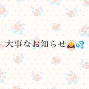 ヒメ日記 2026/04/03 07:46 投稿 椿（ツバキ） アバンチュール(五反田)