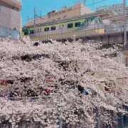 ヒメ日記 2026/04/08 00:01 投稿 椿（ツバキ） アバンチュール(五反田)