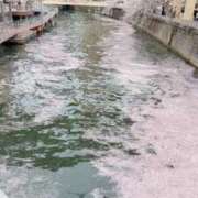 ヒメ日記 2026/04/11 15:16 投稿 椿（ツバキ） アバンチュール(五反田)