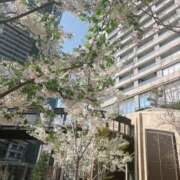 ヒメ日記 2026/04/14 15:16 投稿 椿（ツバキ） アバンチュール(五反田)