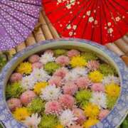ヒメ日記 2026/05/24 08:31 投稿 椿（ツバキ） アバンチュール(五反田)