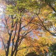 ヒメ日記 2025/11/17 12:05 投稿 はるな 奥様はエンジェル　町田店