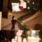 ヒメ日記 2025/12/25 10:41 投稿 はるな 奥様はエンジェル　町田店