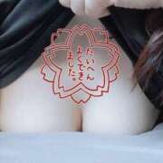 ヒメ日記 2025/04/03 02:18 投稿 みつか 札幌回春性感マッサージ倶楽部