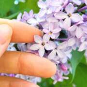 ヒメ日記 2025/05/16 21:08 投稿 みつか 札幌回春性感マッサージ倶楽部