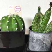 ヒメ日記 2025/06/25 23:18 投稿 みつか 札幌回春性感マッサージ倶楽部