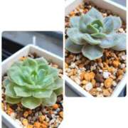 ヒメ日記 2025/07/01 12:28 投稿 みつか 札幌回春性感マッサージ倶楽部