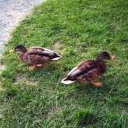 ヒメ日記 2025/09/15 21:58 投稿 みつか 札幌回春性感マッサージ倶楽部