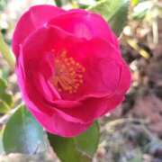 ヒメ日記 2026/01/01 14:48 投稿 みつか 札幌回春性感マッサージ倶楽部