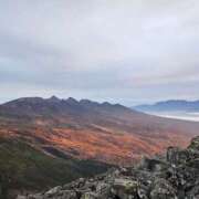 ヒメ日記 2025/01/23 12:57 投稿 あみ 風鈴（ふうりん）