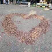 ヒメ日記 2025/01/25 12:34 投稿 あみ 風鈴（ふうりん）