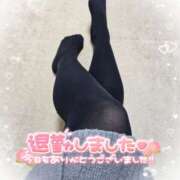 ヒメ日記 2025/02/01 15:27 投稿 あみ 風鈴（ふうりん）