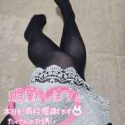 ヒメ日記 2025/04/28 22:40 投稿 あみ 風鈴（ふうりん）