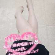 ヒメ日記 2025/05/03 17:10 投稿 あみ 風鈴（ふうりん）