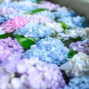 ヒメ日記 2025/06/10 21:31 投稿 あみ 風鈴（ふうりん）