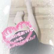 ヒメ日記 2025/06/14 17:38 投稿 あみ 風鈴（ふうりん）